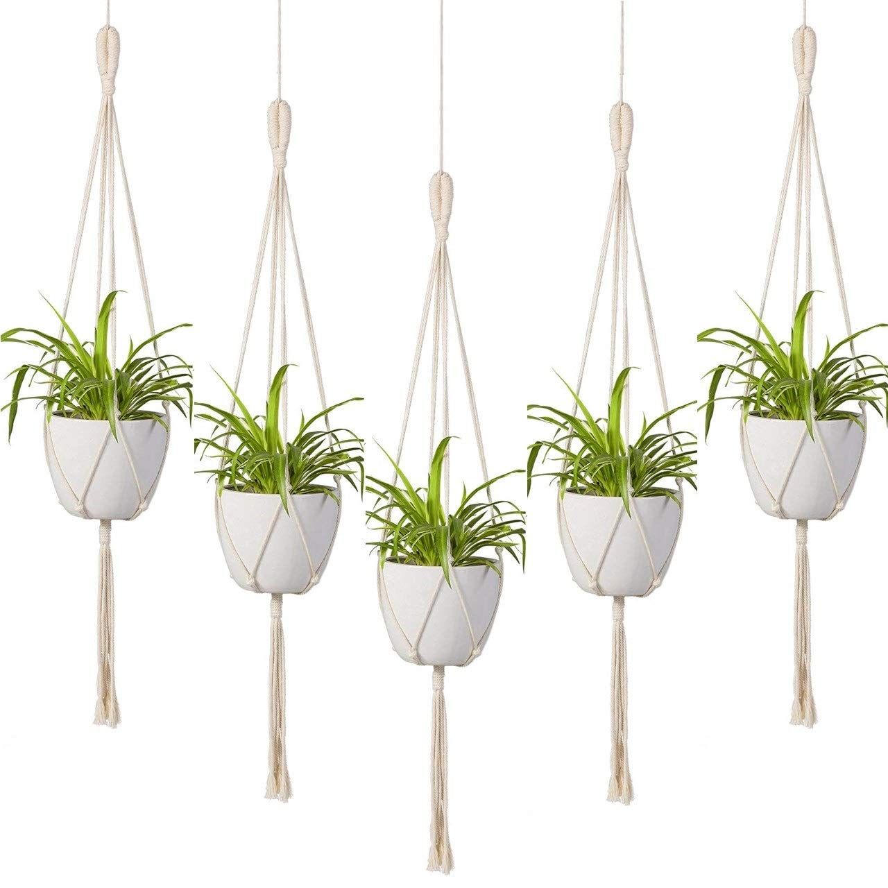 Minimalist Macrame Plant Hanger (Set of 5)