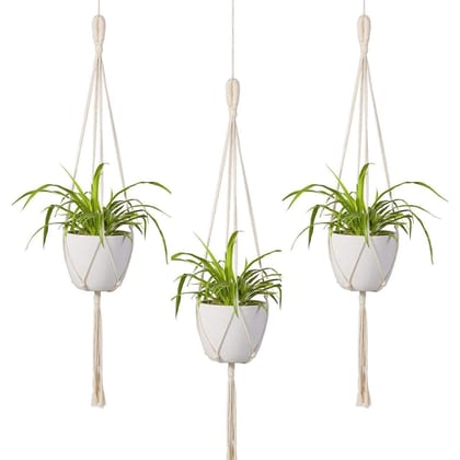 Minimalist Macrame Plant Hanger (Set of 3)