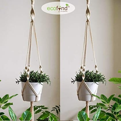 Minimalist Macrame Plant Hanger