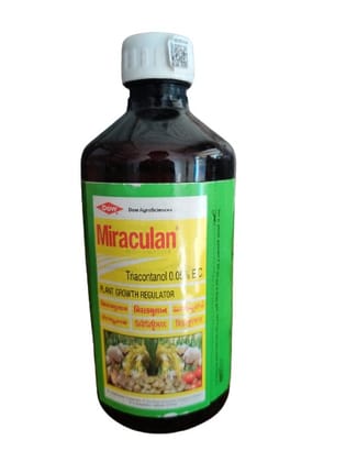 MIRACULAN 100 ML