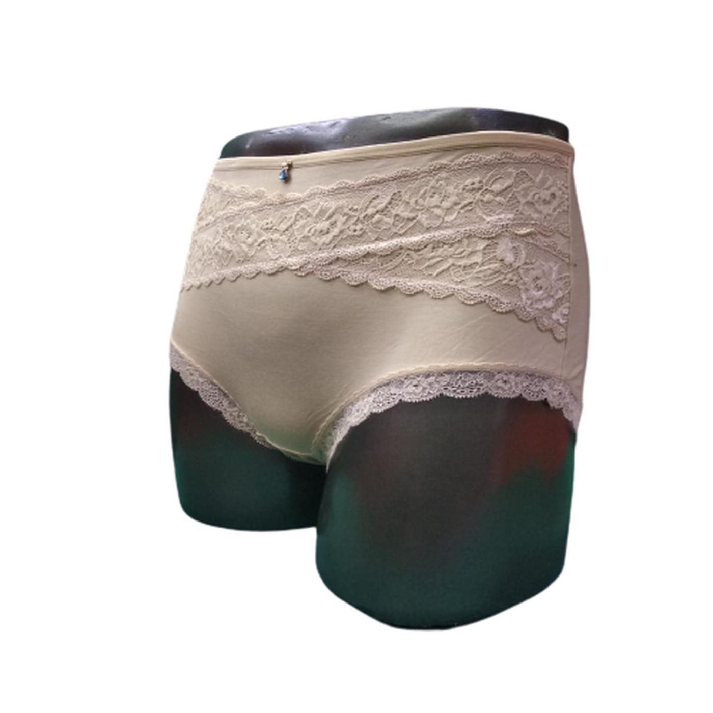 New Criss Cross Full Brief Modal Panty