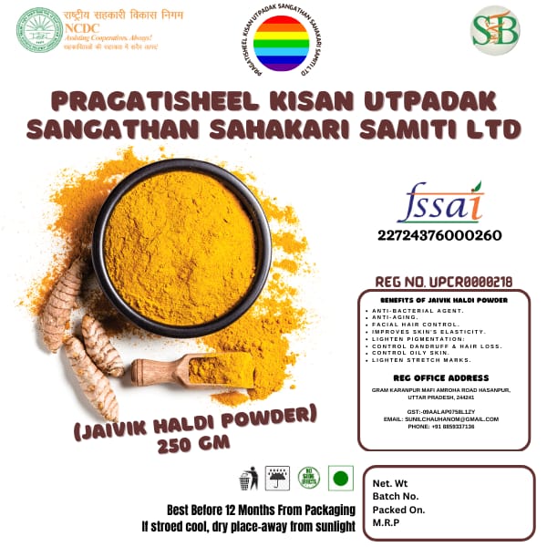 Jaivik Haldi Powder - 250 GM