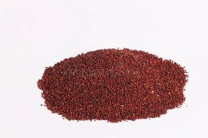 Ragi ( Finger Millet) - whole millet cleaned