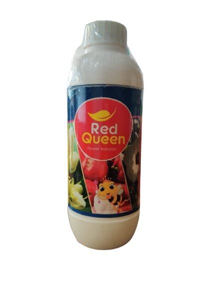 RED QUEEN  1000 ML