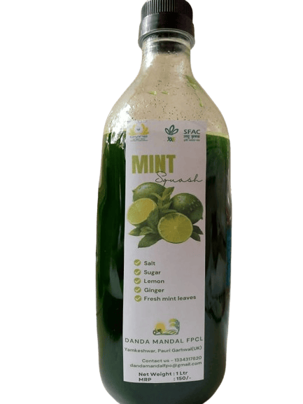 Mint Squash