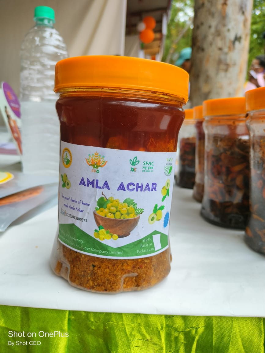 Amla Pickle (500gm)