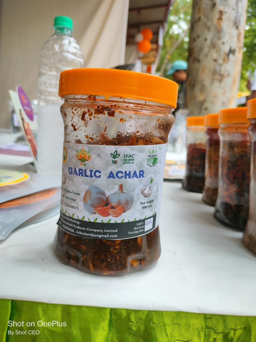 Garlic Pickle (500gm)