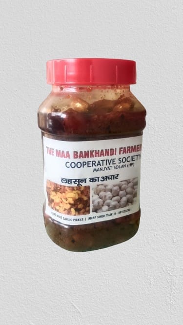 LAHSUN KA ACHAR