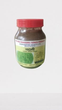 CHUTNEY ( adrak, hari mirch, lahsun)