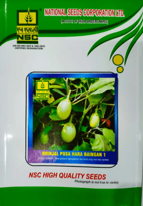 NSC Brinjal Seed, Variety: Pusa Hara Baigan-1, 25 gm