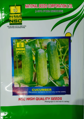 NSC Cucumber Seed, Variety: Swarna Sheetal, 50 GM