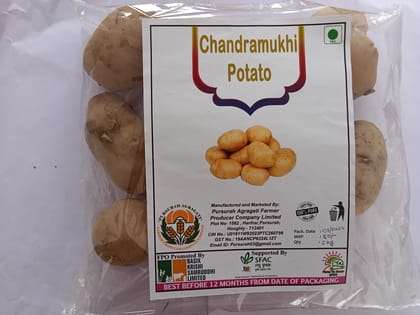 Chandramukhi Potato 2 kg