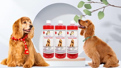 SWACCH Shampoo Specially FORMULATED for Cocker Spaniel (1 Litre) (Pack of 3) Strawberry