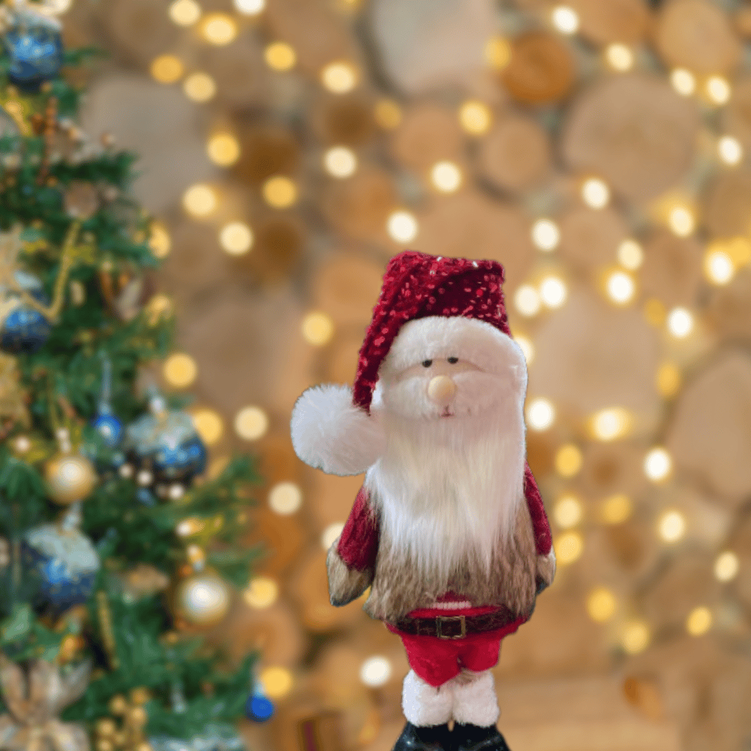 Standing Santa Claus Table Centerpiece