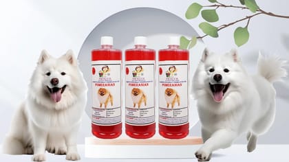 Swacch Shampoo Specially Formulated for Pomeranian (1 Litre) (Combo Pack of 3) Jasmine