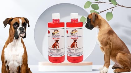 SWACCH Shampoo Specially FORMULATED for Boxer (500ML) (Pack of 2) Jasmine