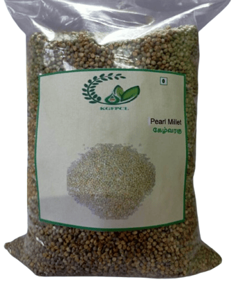 Pearl Millet