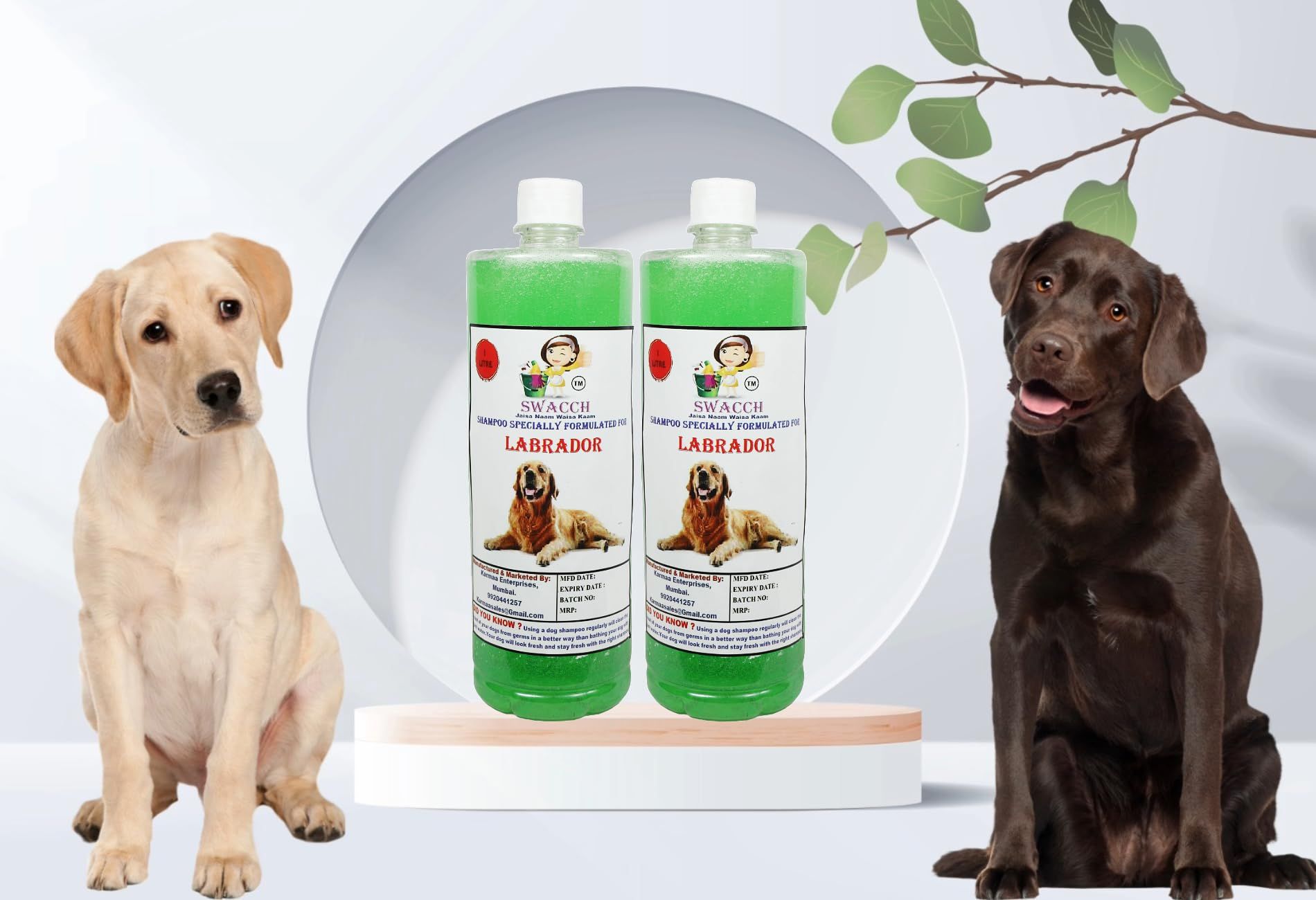 Shampoo for fashion labrador retriever