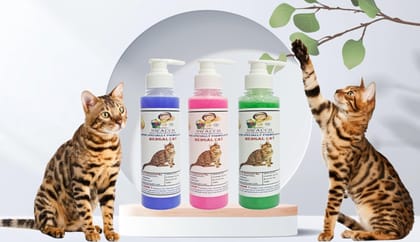 SWACCH Premium Shampoo for Bengal CAT (200ML) (Pack of 3) Lavender, Rose & NEEM ALOVERA