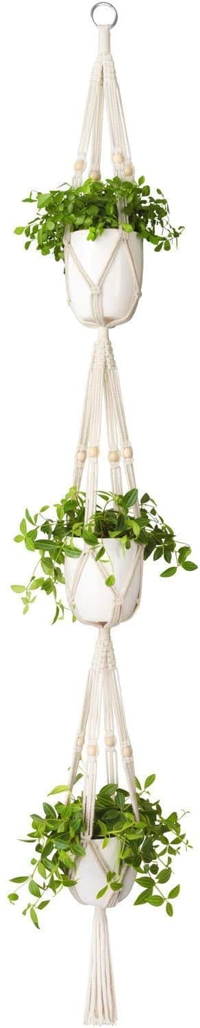 Art Tales 3 Plant Hanging Planter, Pack of 1