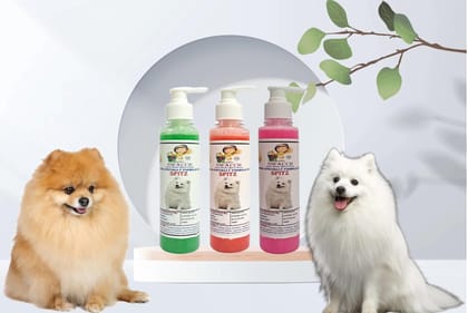 SWACCH Premium Shampoo for Spitz (200ML) (Combo Pack of 3) NEEM ALOVERA, Strawberry, & Rose