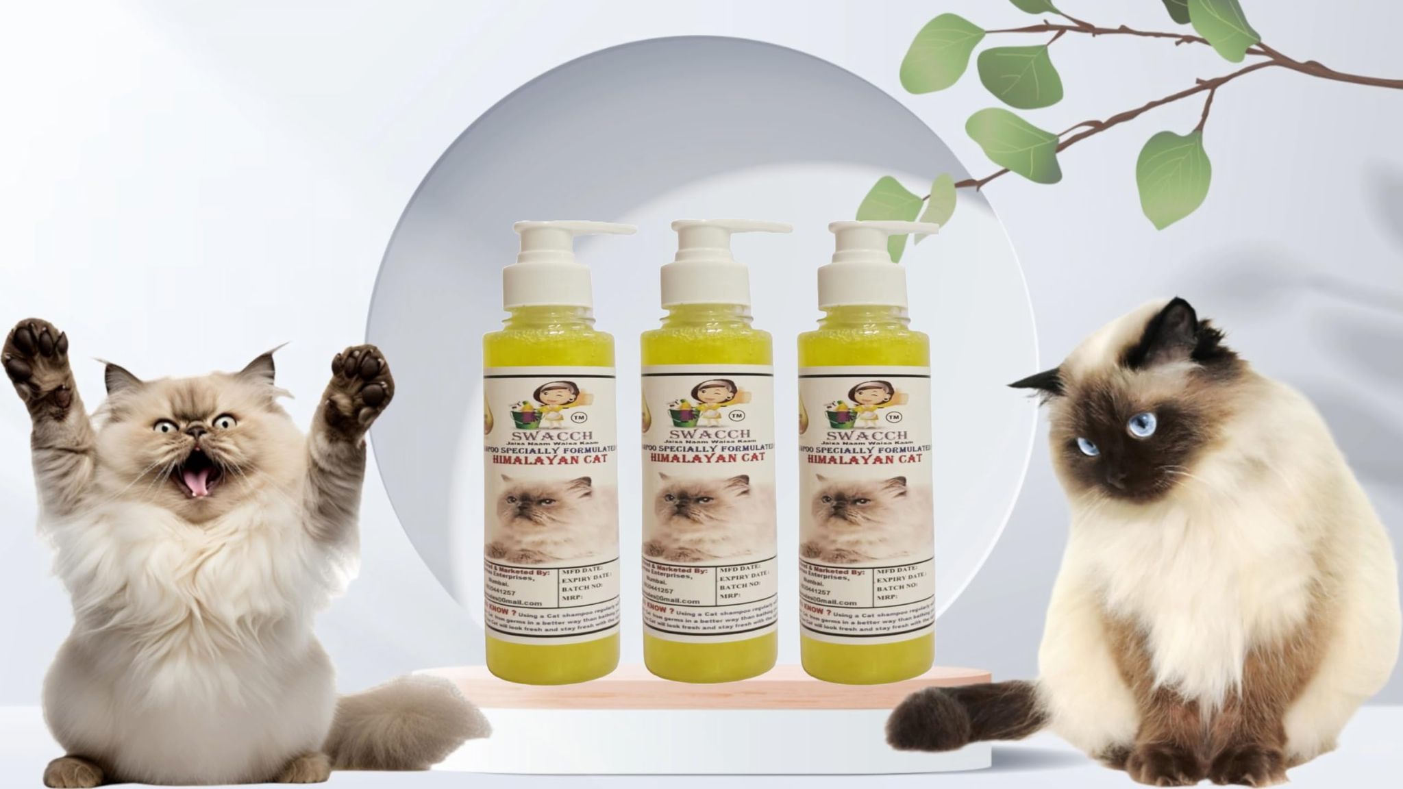 SWACCH Premium Shampoo for Himalayan CAT (200ML) (Pack of 3) Lemon