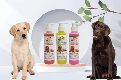 SWACCH Premium Shampoo for Labrador (200ML) (Combo Pack of 3) Strawberry, Lemon & Rose