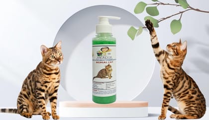 SWACCH Premium Shampoo for Bengal CAT (200ML) NEEM ALOVERA