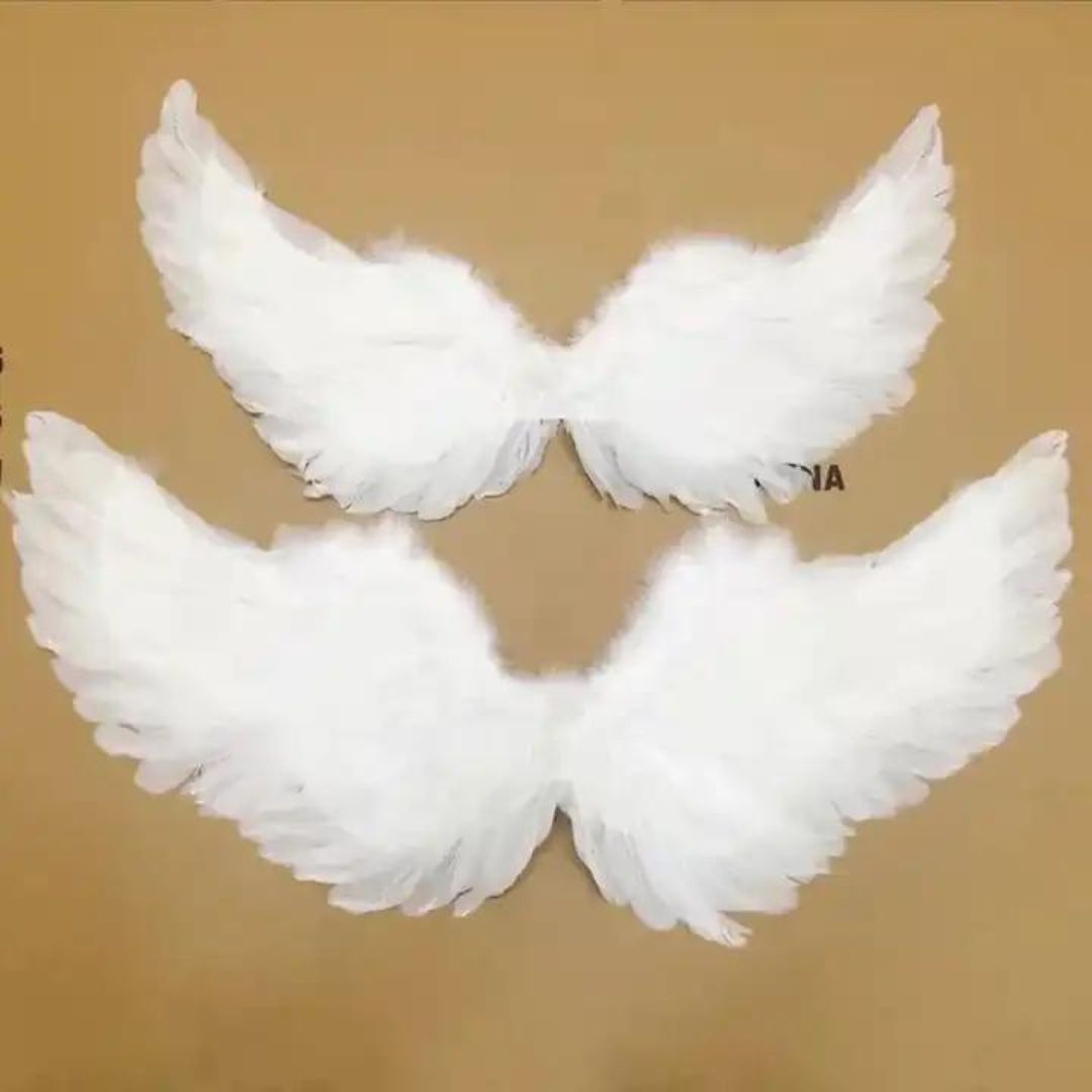 Angel Halo Wings - Adult