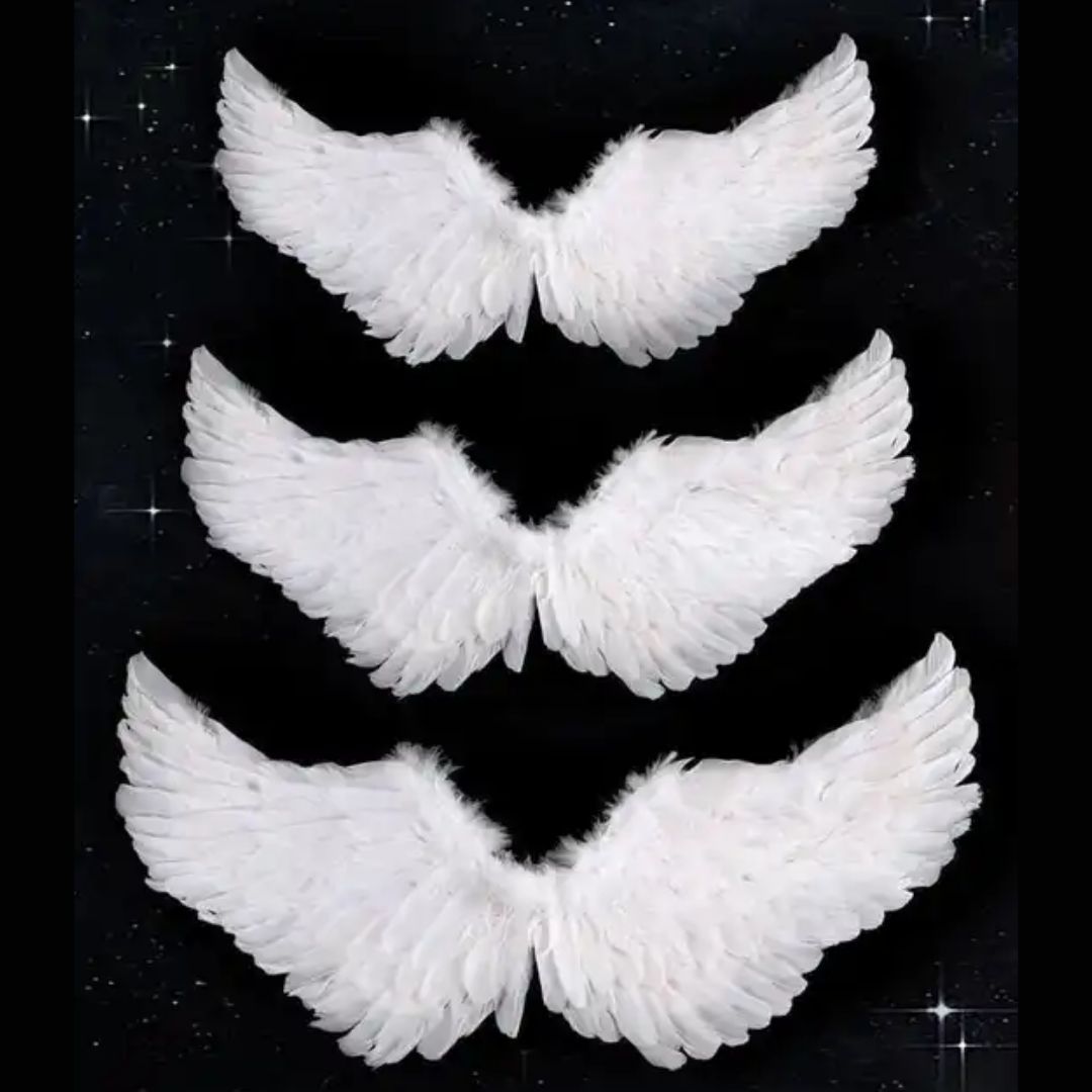 Angel Halo Wings - Kids