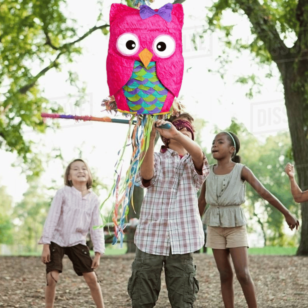 Pink Owl Shaped Pinata