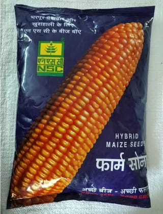NSC Hyb.Maize, Bio 9637, 4kg