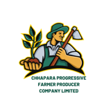 CHHAPARA PROGRESSIVE FARMER PRODUCER COMPANY LIMITED