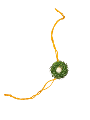 Green Round Rakhi