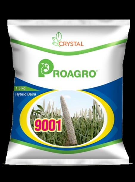 ProAgro 9001 Hybrid Bajra Seed