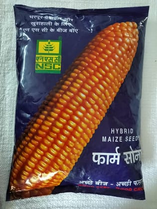 Hyb. Maize/ Super 82 (Maize Seeds NSC)