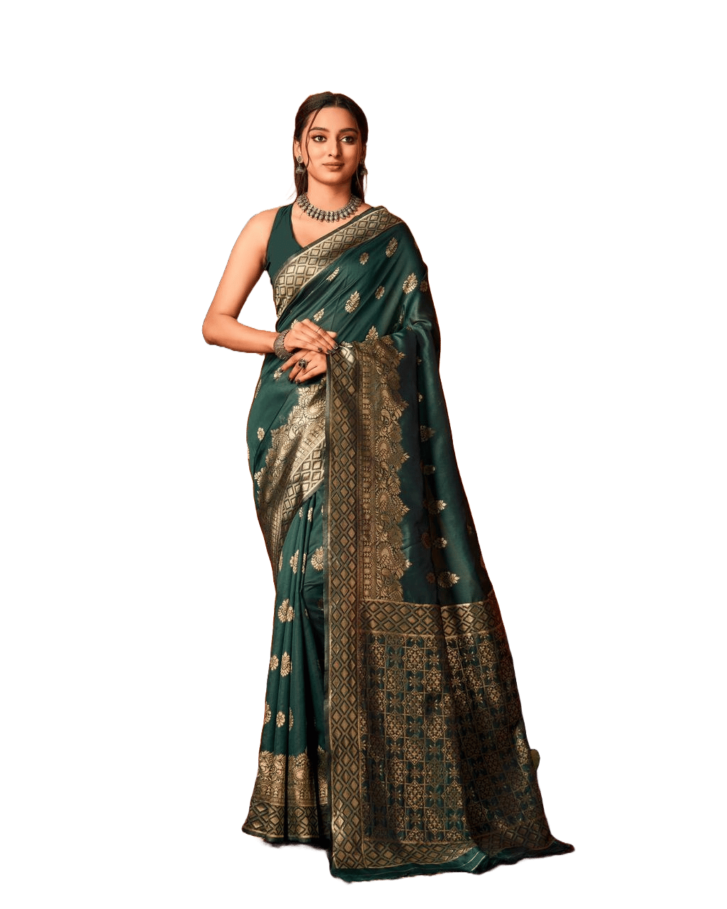 Banarasi Silk Saree