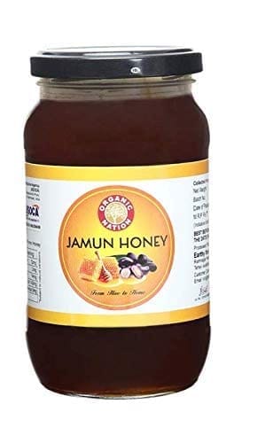 ORGANIC NATION Raw Organic Jamun Honey German Lab Tested Organic Certified Pure Natural Unprocessed Original Honey Best For Use In Breakfast Cereal, Green Tea, Pancakes | 500  Glass Jar (Pack of 1)