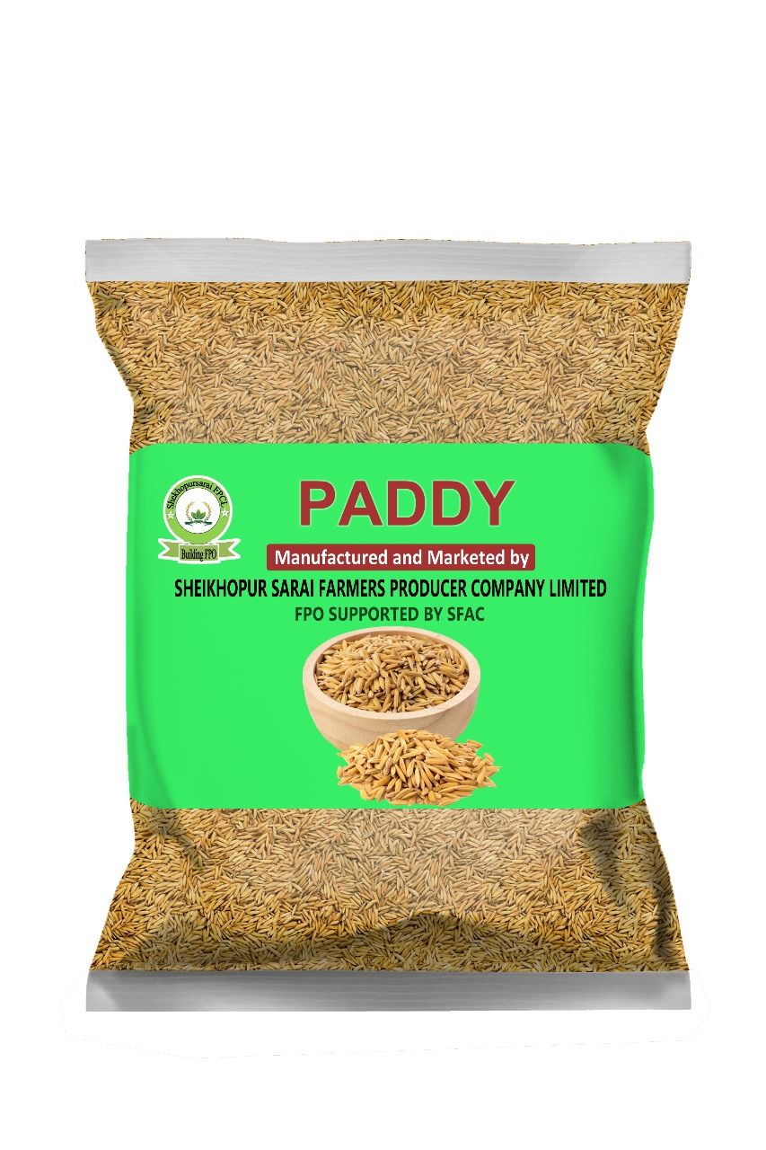 PADDY