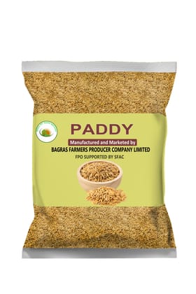 PADDY