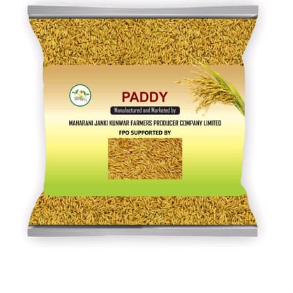 Paddy