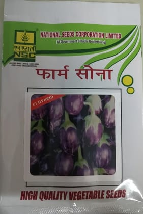 NSC Brinjal/ Kukku, 10gm