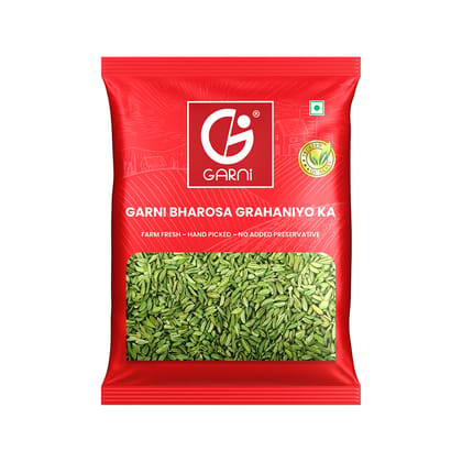 Garni Foods Fennel Seeds (Saunf) | 100% Natural & Impurities-Free | Traditional Whole Indian Spices | 300g, (100g X 3)