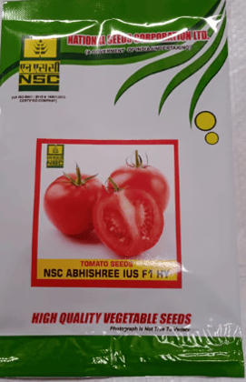 NSC Hyb. Tomato/ Abhishree IUS, 10gm