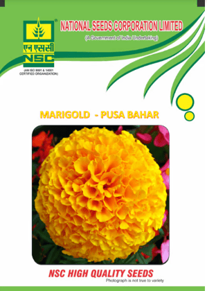 NSC Yellow Marigold Seed, Variety: Pusa Bahar , 10 gm