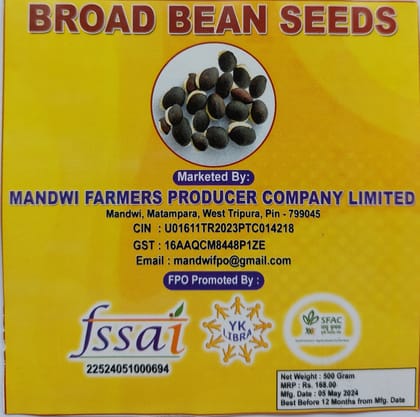 Broad Bean Seed