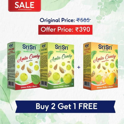 Amla Candy, Delicious Healthy & Digestive, 400g - Buy 2 Get 1 Free