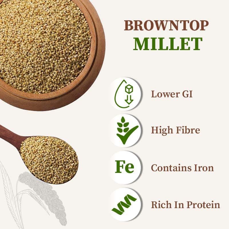 Brown top millet