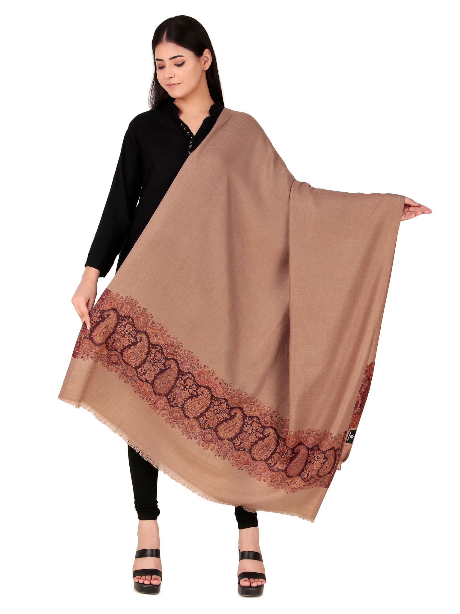 Toosh Moda Women's Embellished Beautiful Ethnic Winter Wear jacquard Shawls (Beige 100 *200)