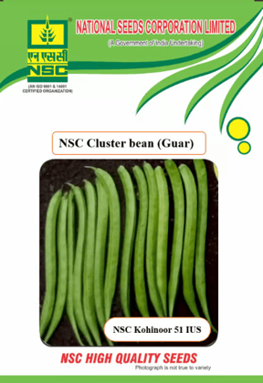 NSC Clusterbean (Guar) Seed, Variety: NSC Kohinoor 51 IUS 500 gm